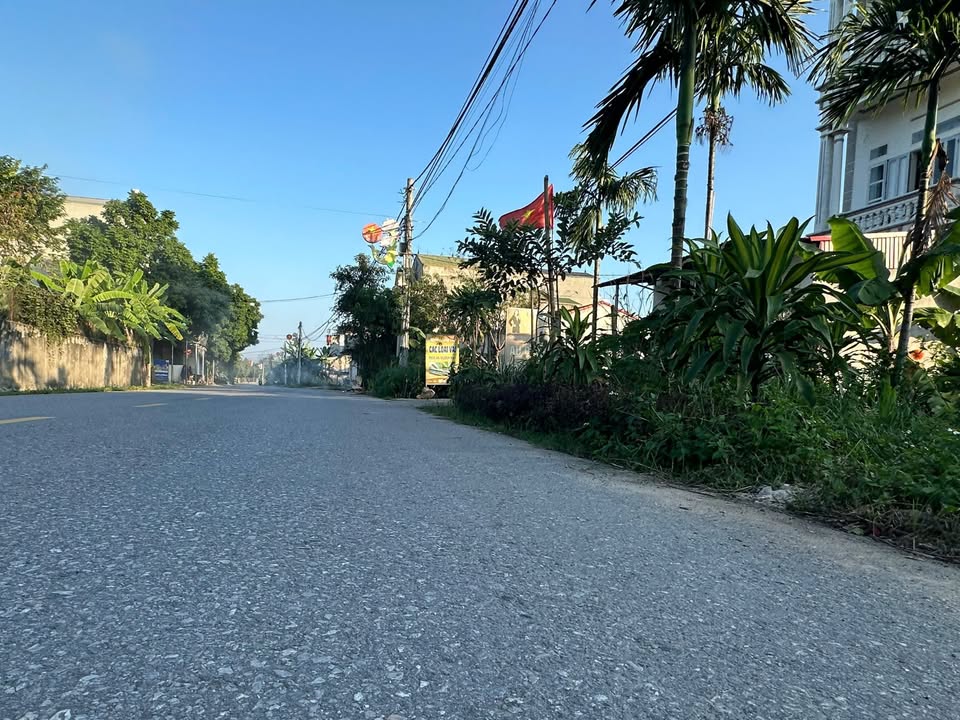 Đất vàng Tỉnh lộ 305 cơ hội vàng cho kinh doanh, đầu tư