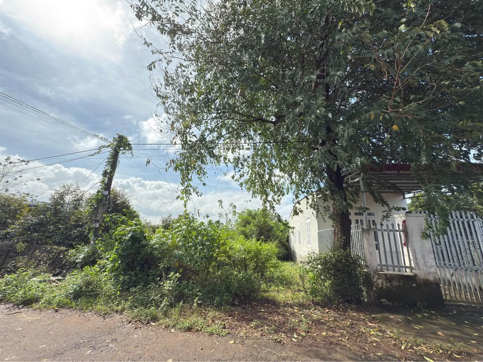 Bán đất 5m x 39m ngay sau ủy ban nhân dân Eakao, Buôn Ma Thuột, giá 990 triệu