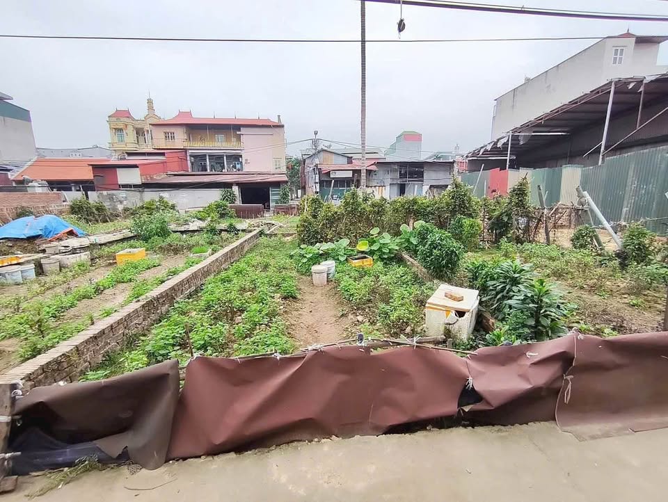 Bán đất Kim Thiều - Hương Mạc, 44m2, mặt tiền 4.3m, sổ đỏ sẵn sàng