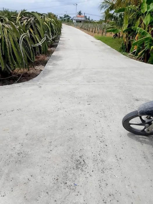 Bán đất lúa 2 mặt tiền tại Thanh Phú Long, Châu Thành, Long An - Giá chỉ 220 triệu