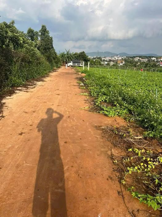 Bán đất Cospha, Lâm Đồng, 157m2, 75m2 xây dựng, giá 790 triệu