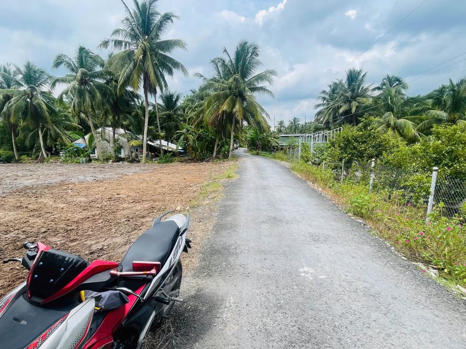 Bán nền Vĩnh Long - 295 triệu có sẵn thổ cư, dân đông