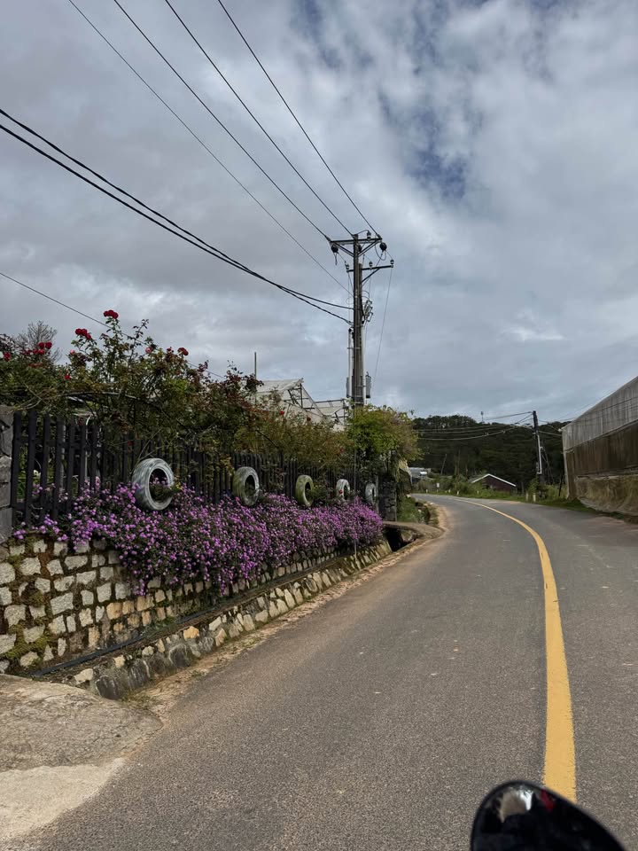 Đất Vàng tọa lạc tại mặt tiền đường nhựa Kim Thạch