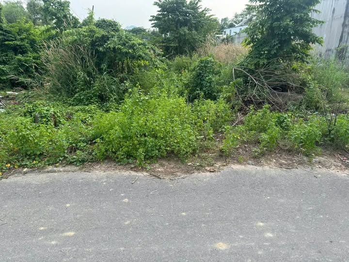 Mảnh đất Vạn Hạnh, Phú Mỹ, nơi an cư lý tưởng, giá chỉ 1,7 tỷ