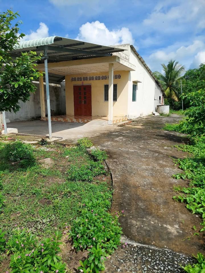 Miếng đất 268m2 kèm nhà cấp 4 sẵn ở, chỉ 450 triệu tại Tân An, Long An