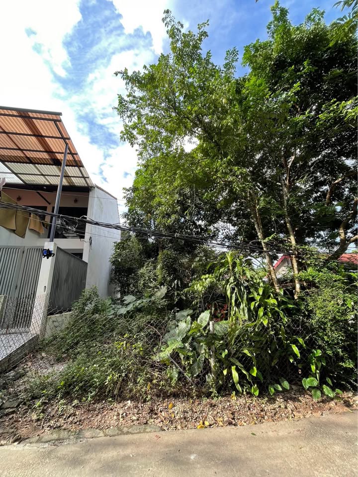 Siêu phẩm 112m2 đất Quảng Tế chỉ 1,7 tỷ ngang 7m, sổ đỏ đầy đủ