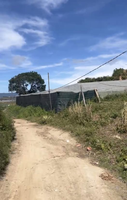 Đất Quảng Lập 1.8 sào view thoáng, mặt đường 19m chỉ 380 triệu