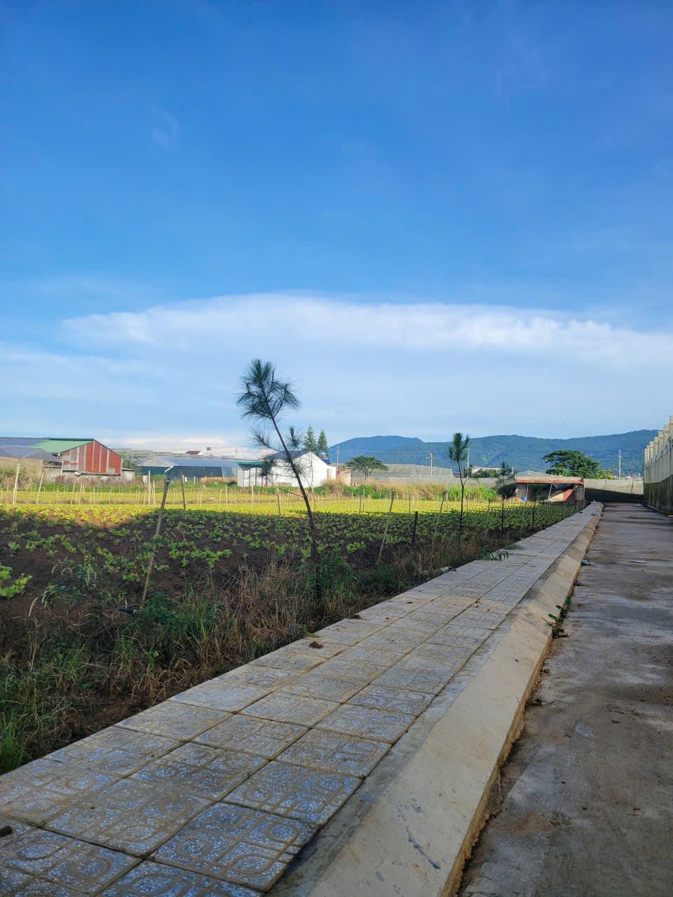 Bán đất Đơn Dương, kích thước 5m x 25m, chỉ cách đường nhựa chính Phạm Ngọc Thạch 100m