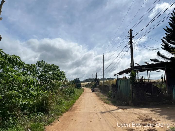 Bán đất thổ cư 145m² mặt tiền 5m tại Ka Đô, Đơn Dương, Lâm Đồng