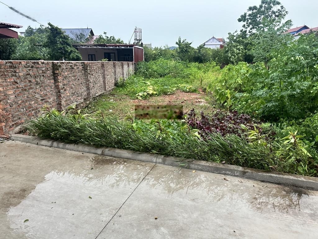 Bán đất 100m2 tại Xã Minh Phú, Sóc Sơn, Hà Nội, 1,9 tỷ