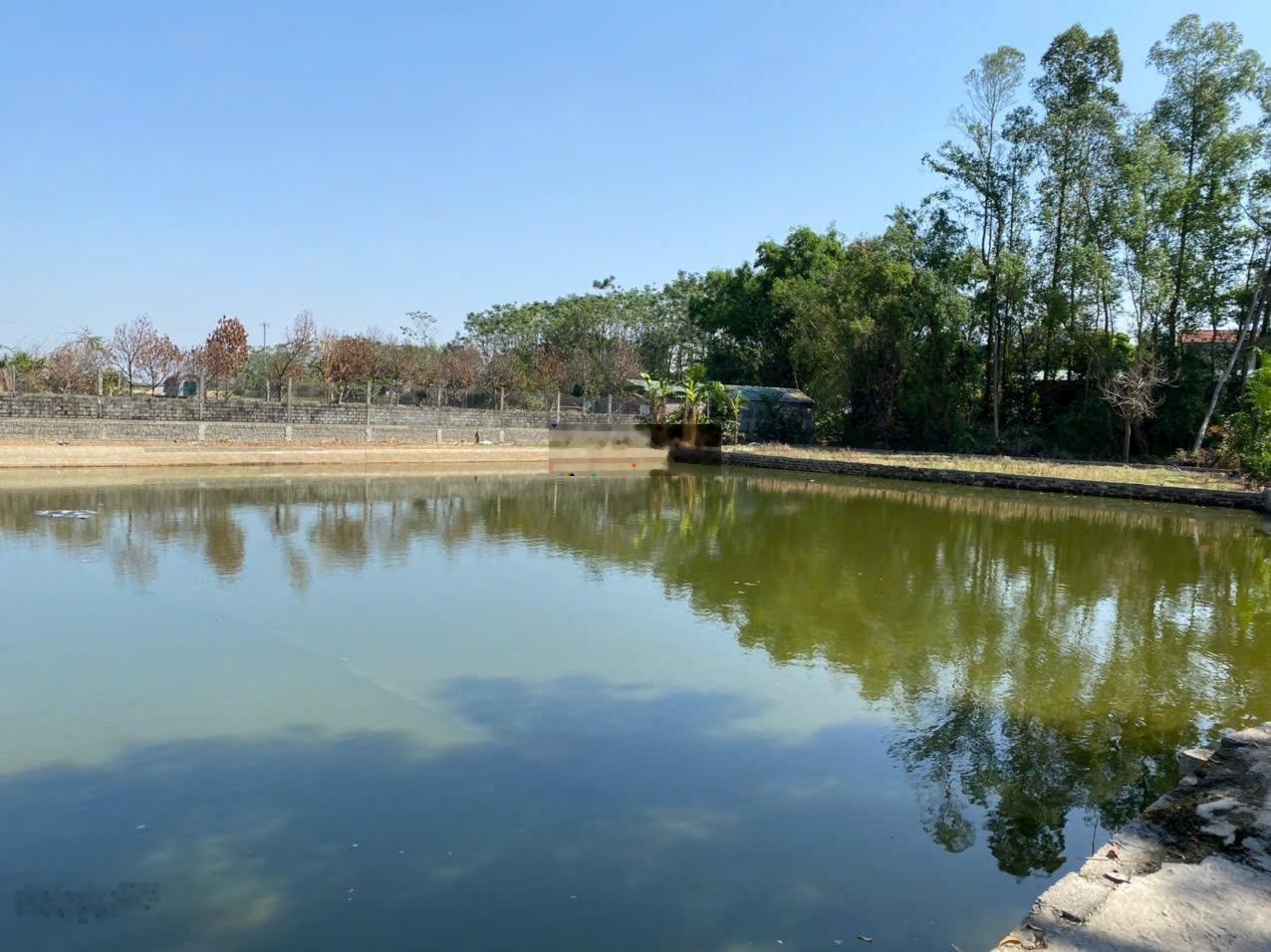 Bán đất chính chủ 165m2 gần full thổ cư tại Đông Yên, Quốc Oai. View hồ