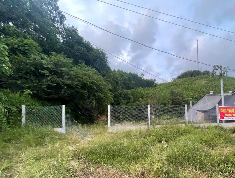 Đất mặt tiền kinh doanh Quốc lộ 49, ngang 20m, view sông Hữu Trạch - Đầu tư sinh lời