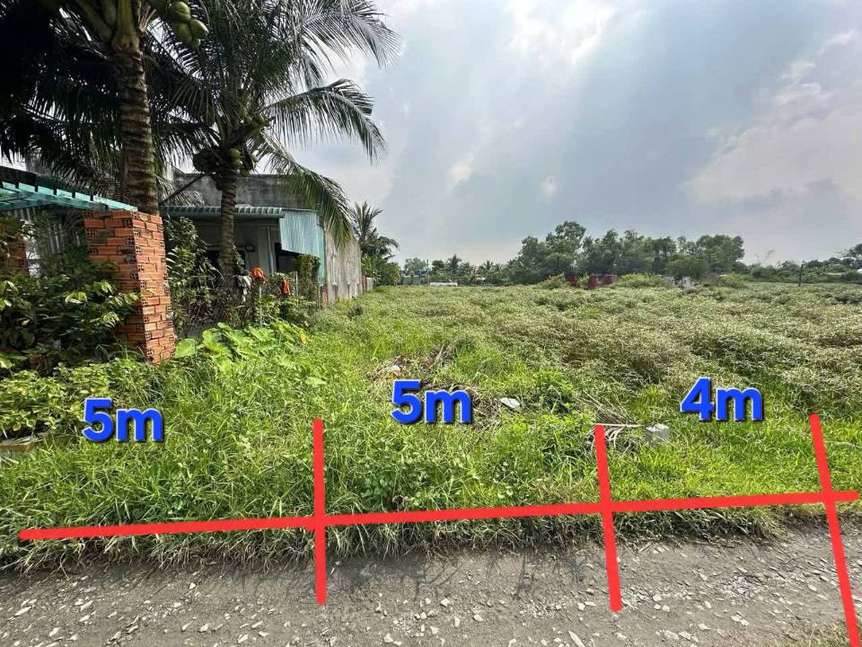 Bán đất thổ cư sổ hồng riêng tại Mỹ Hạnh, Đức Hòa - Giá tốt