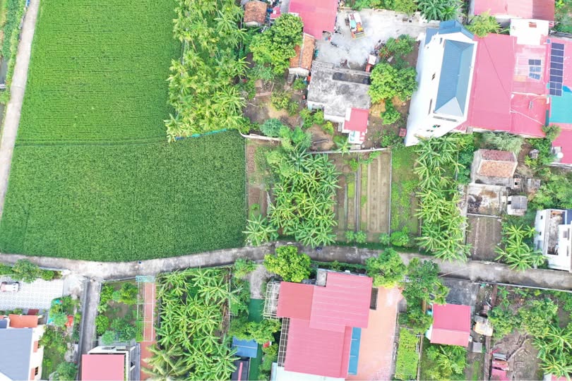 Siêu phẩm đất vườn 1050m2 đang chờ chủ nhân mới tại Kiến Minh, Hải Phòng