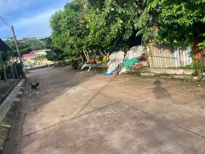 Đất thổ cư Gò Điều, An Cư, Phú Yên, gần Quốc Lộ, 8m x 25m, giá tốt