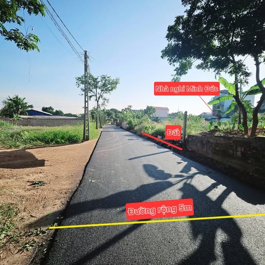 Bán đất Kim Long, Tam Dương, sát khu công nghiệp, đường 5m, 100m2 thổ cư