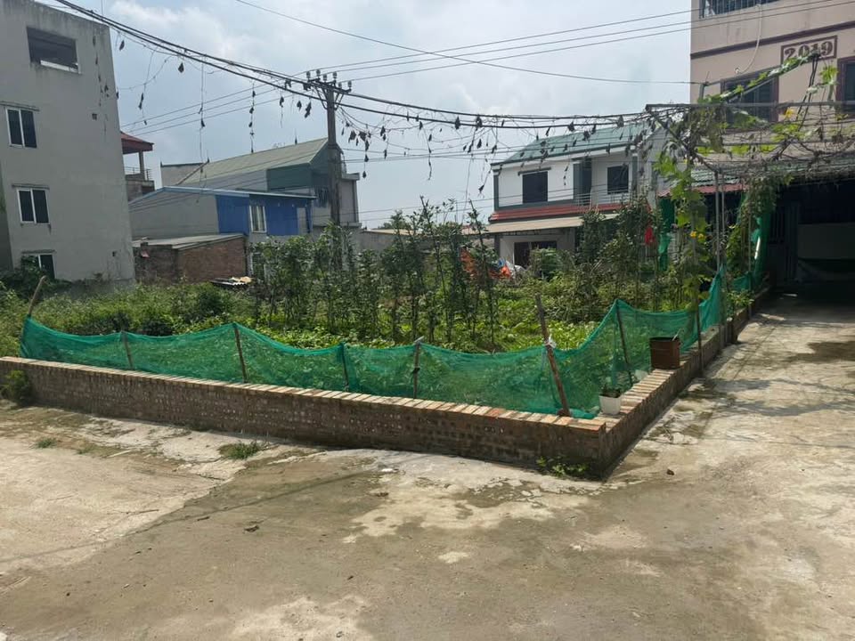 Đất nền Xuân Bách, Sóc Sơn, diện tích 104m2, mặt tiền rộng, tiềm năng sinh lời cao