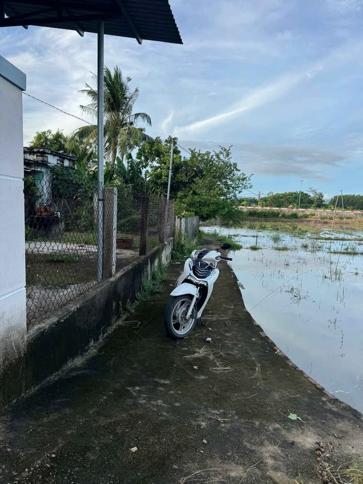 Đất vườn Lục Lễ, Bình Định 1500m2 view sông Kôn, giá iu thương