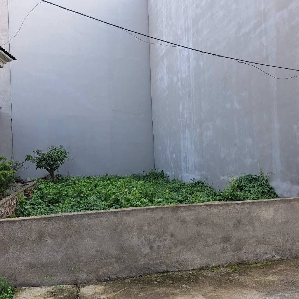 Đất Thạch Bàn, 40m2, ô tô vào đất, gần hồ điều hòa, sổ đỏ sẵn sàng