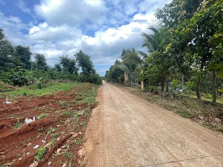 Đất Đắk Lắk mặt tiền Đỗ Xuân Hợp nối dài, 12.5x41m, giá 1.05 tỷ