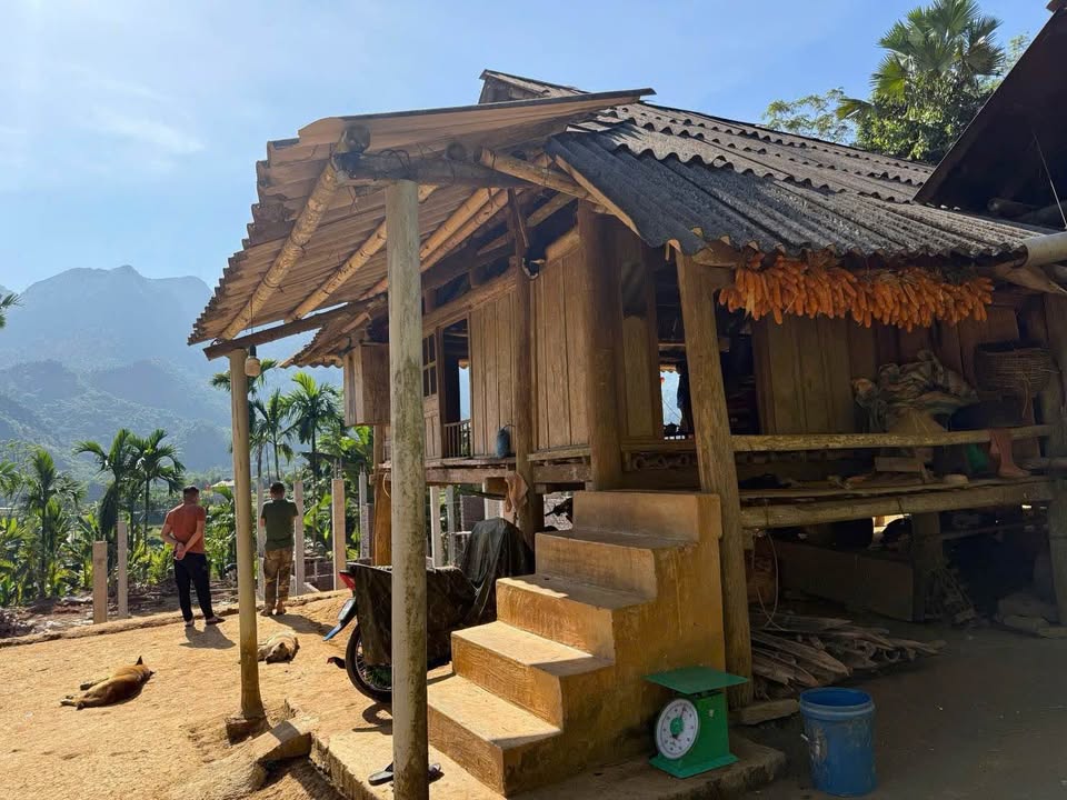 Bán đất 1200m2 có 300m2 thổ cư, bám mặt đường 23m tại Gia Mô, Tân Lạc, Hòa Bình