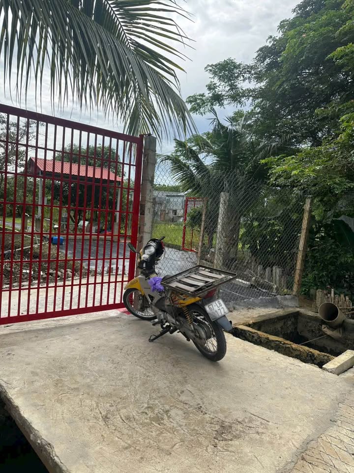 Bán gấp 3600m² vườn xoài thái trĩu quả - dòng tiền ổn định, sổ hồng sang tên ngay