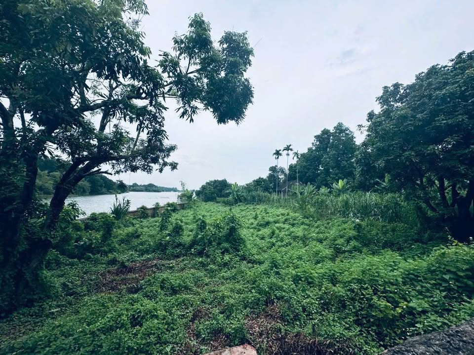 Siêu phẩm đất bám hồ Đồng Mô, Sơn Tây, Hà Nội đang chờ chủ nhân may mắn