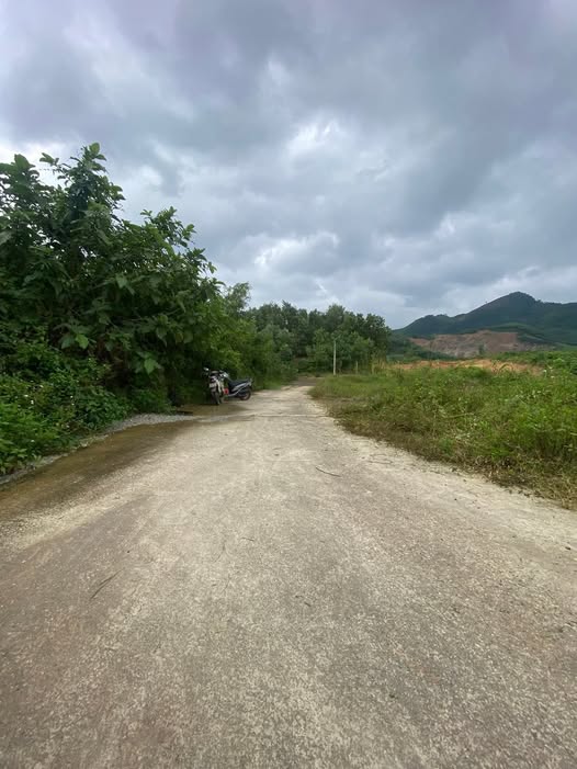 Đất Xuân Phú, Hòa Khánh siêu đẹp, giá siêu mềm