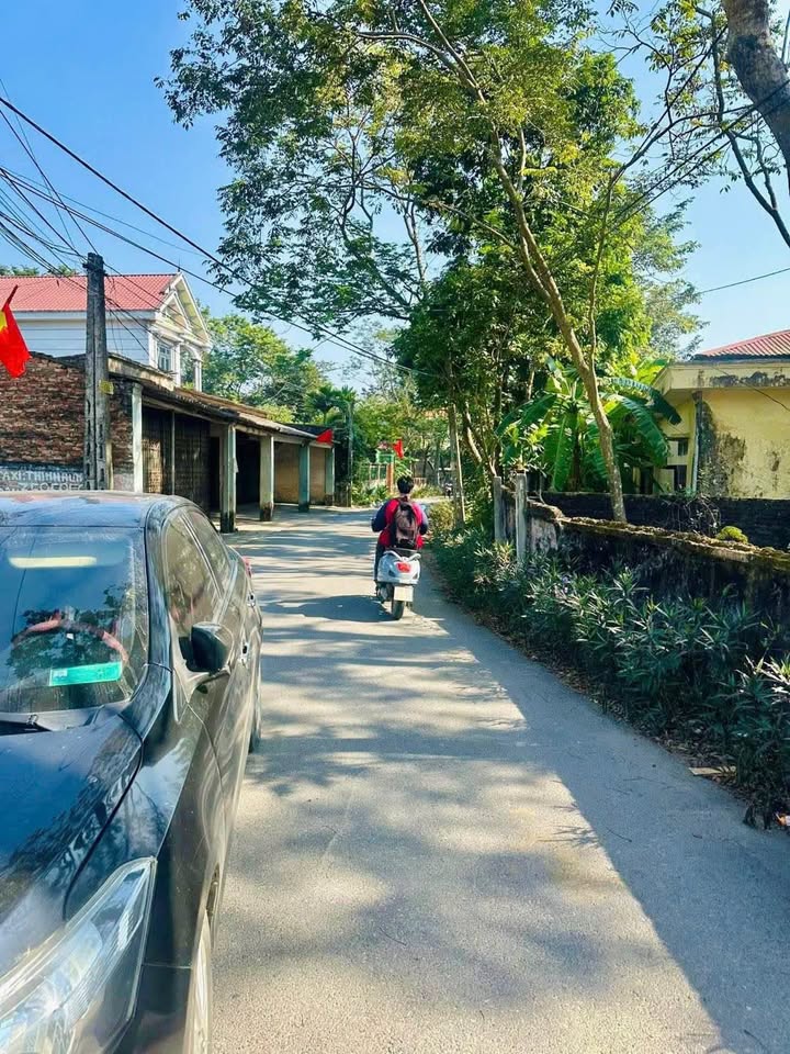 Bán đất nền Sông Lô, Vĩnh Phúc, gần khu công nghiệp, giá tốt cho đầu tư