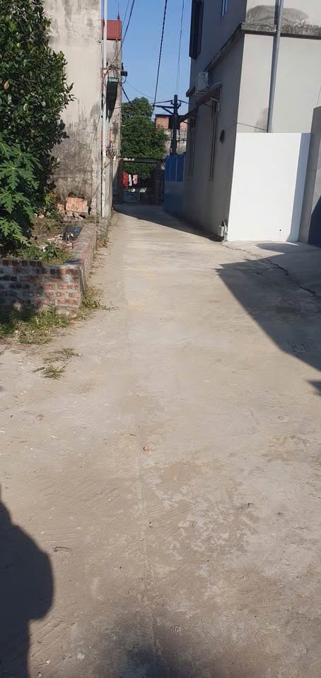 Đất vàng Phúc Lâm, 83m² sổ đỏ, hướng Nam, giá 2 tỷ - đầu tư hay an cư đều tuyệt