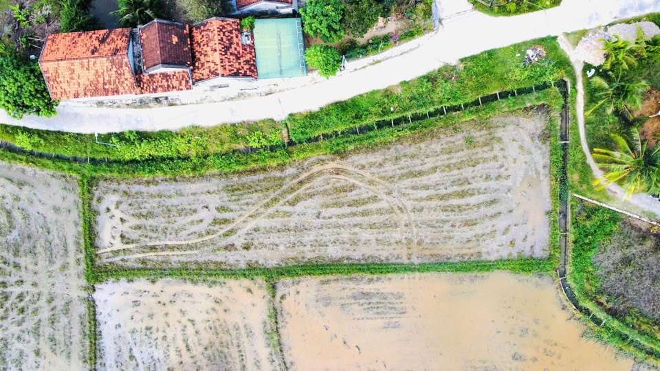 Đất Ninh Hòa, Khánh Hòa 755m2, đường ô tô, giá hấp dẫn