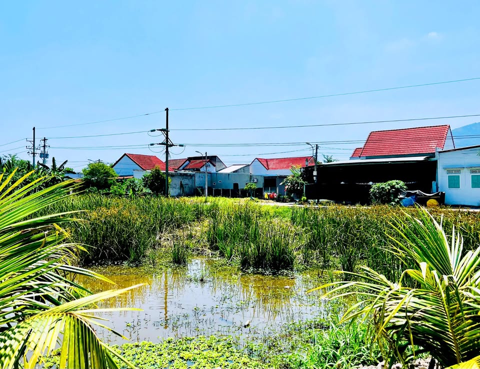 Bán lô đất góc tại khu Tái định cư Suối Hiệp, Diên Khánh, hướng Tây Nam, đường rộng 8m ô tô vi vu