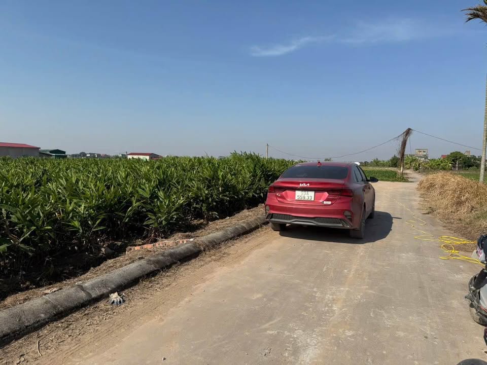 Chào mừng quý khách đến với cơ hội sở hữu mảnh đất tuyệt vời tại Nhất Trai, huyện Gia Bình, tỉnh Bắc Ninh