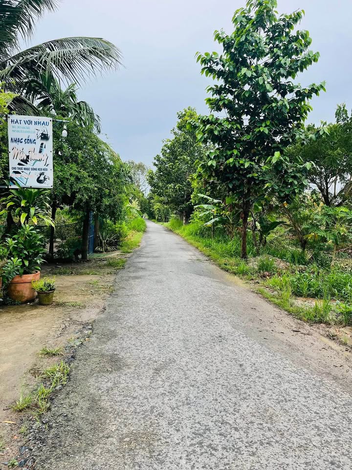 Bước vào một câu chuyện đầu tư đầy tiềm năng với nền đất mặt tiền nhựa tại ấp 7, An Trường, Càng Long, Trà Vinh