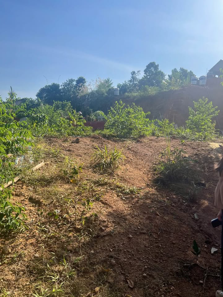 Bán nhanh đất thổ cư 563m2 mặt tiền đường Phạm Ngũ Lão, thành phố Yên Bái