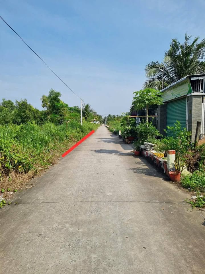 Đất vàng Phú Tân, Bến Tre, đường thông, ô tô vi vu, giá hời