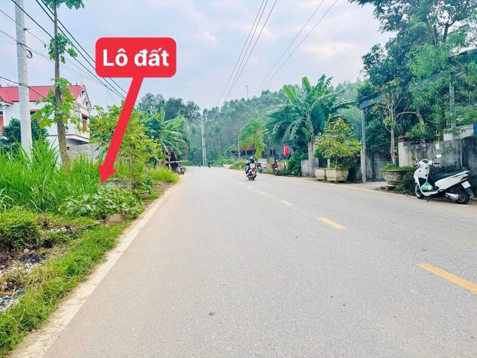 Siêu phẩm đất nền trục chính Quang Sơn, Lập Thạch, Vĩnh Phúc đây ạ