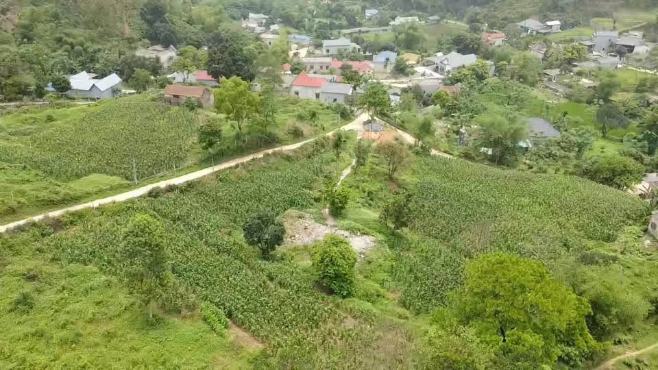 Cần bán gấp mảnh đất siêu đẹp tại Lương Sơn, Hòa Bình, diện tích lên đến 5.538m²