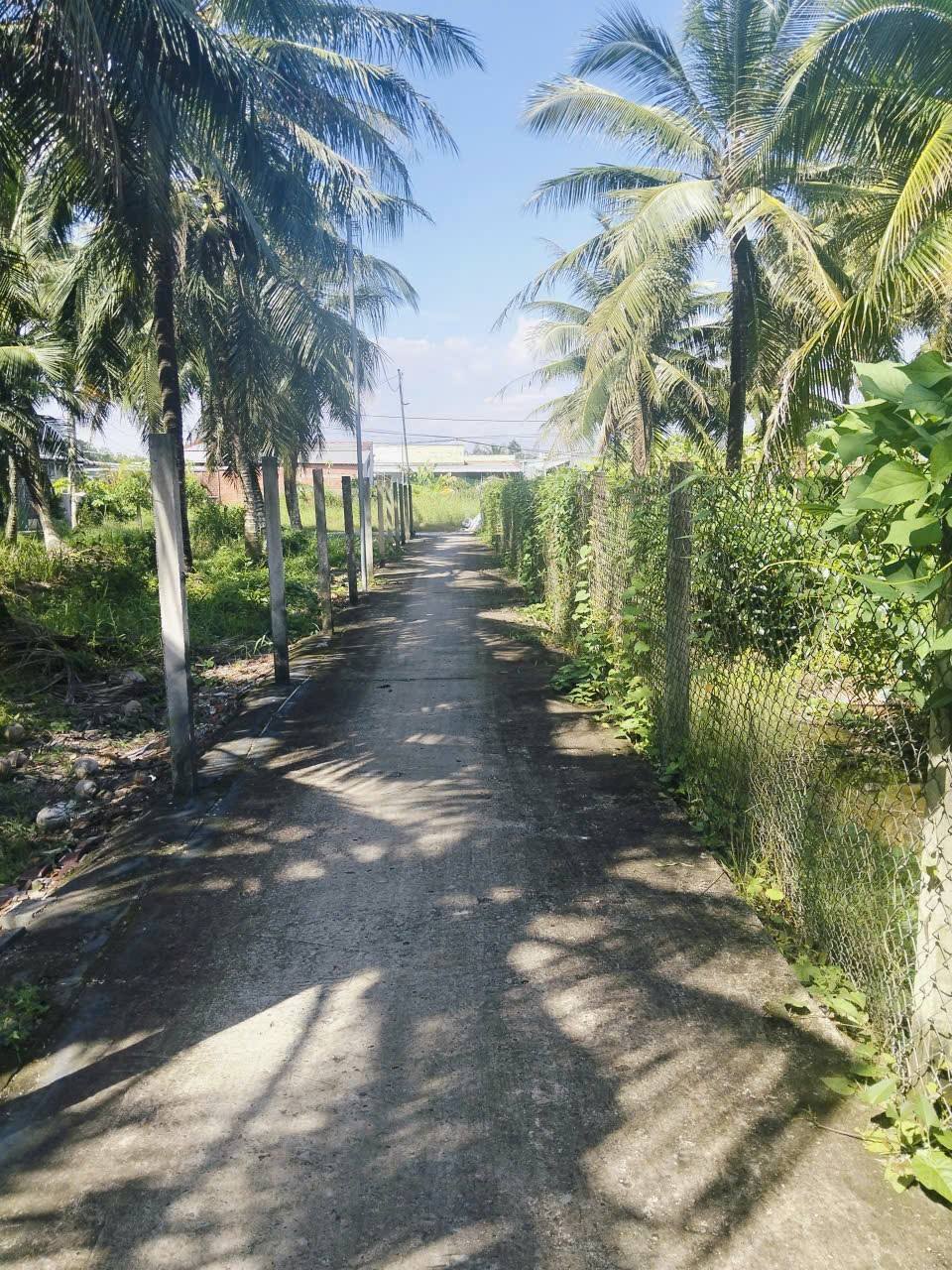 Về Hữu Định, An Yên bên nhà vườn