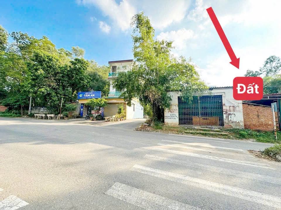 Đất Định Trung, Vĩnh Phúc, mặt tiền 5m, 98m2, giá nhỉnh 1,6 tỷ, kinh doanh đỉnh