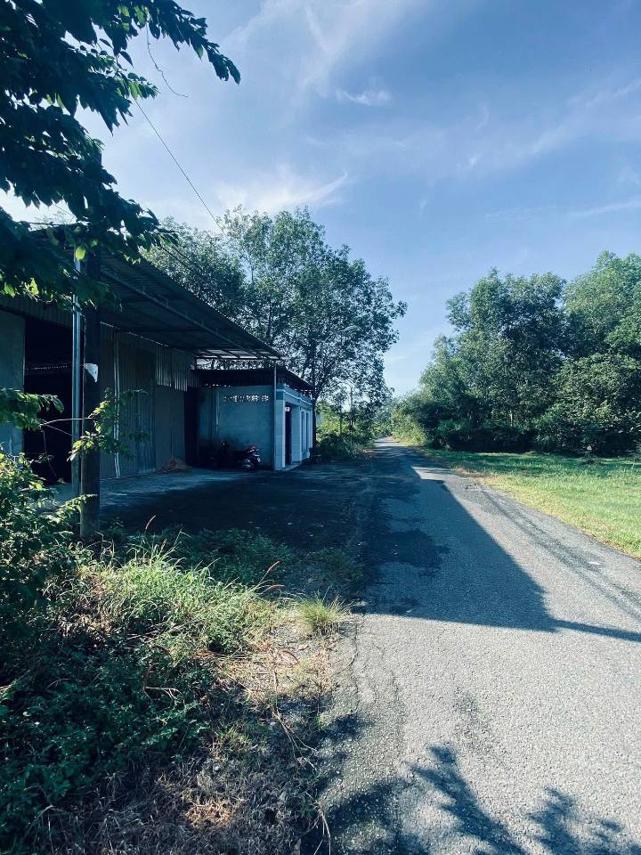 Bán gấp nhà xưởng 827m² tại An Nhơn Tây, Củ Chi - Giá sốc 5.9 tỷ