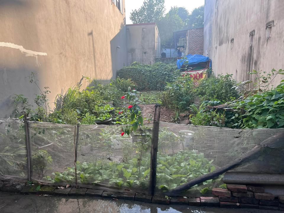 Đất vàng Gia Thượng - sổ đỏ vuông vắn, nở hậu, giá hời