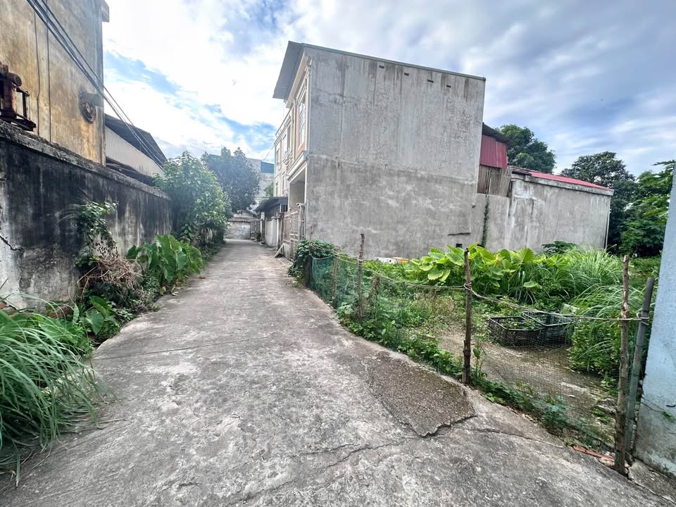 Bán đất thổ cư 100m2 tại Khu 10 Nông Trang, Việt Trì - Hướng Tây Nam, giá tốt