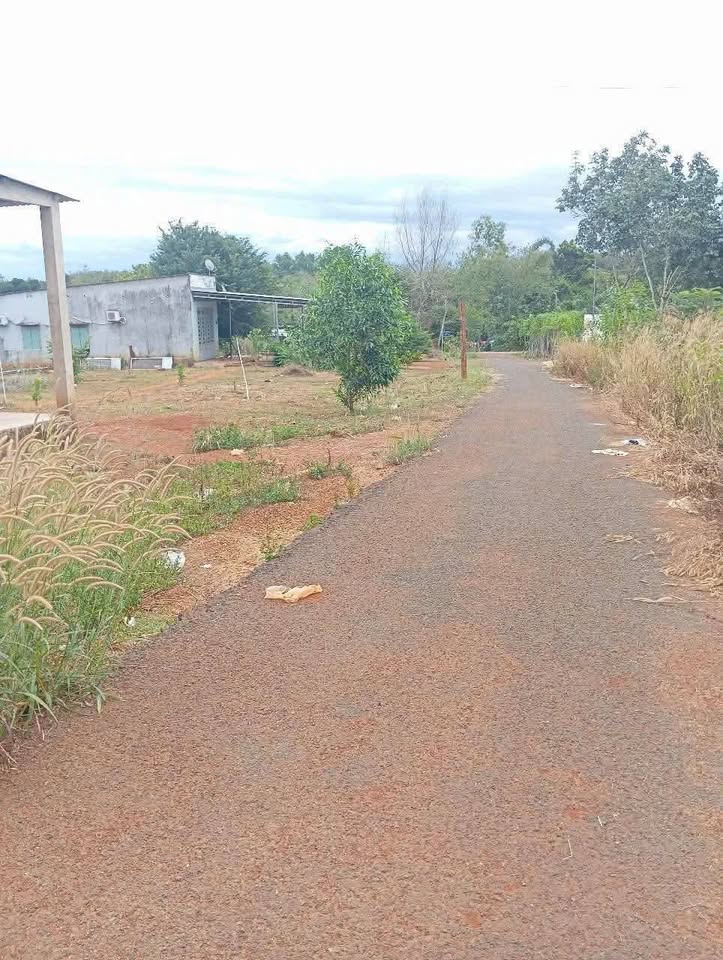 Mảnh đất vuông vắn, nở hậu tại phường Tiến Thành, Bình Phước