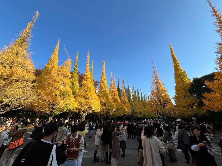 Nhà phố mới đầy đủ công năng, mặt tiền đường Châu Thượng Văn, 46m2