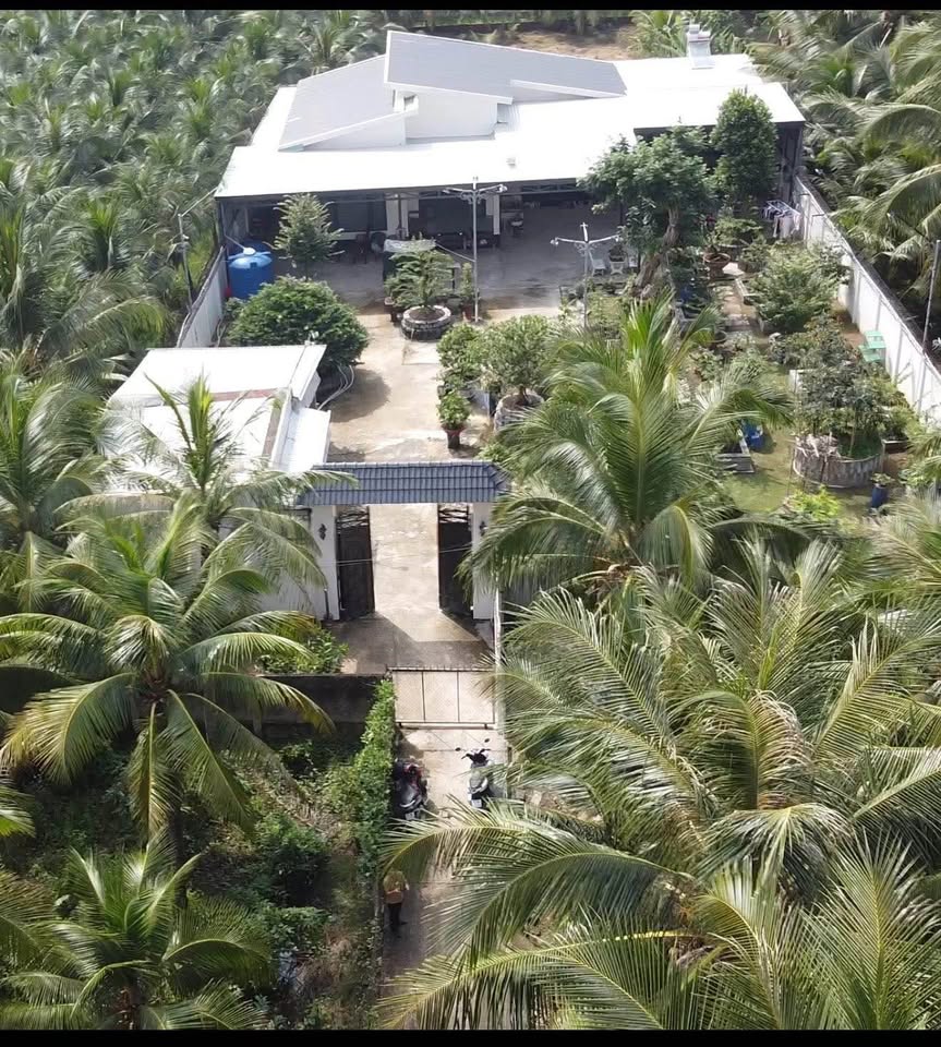 Ngôi nhà vườn nghỉ dưỡng 960m2 tại Phú Tân, Bến Tre cơ hội sở hữu hiếm có