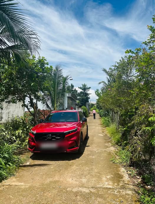 Đất vườn tiềm năng 10x32m, mặt đường bê tông 5m, hướng Tây - Cư Ebur, Buôn Ma Thuột