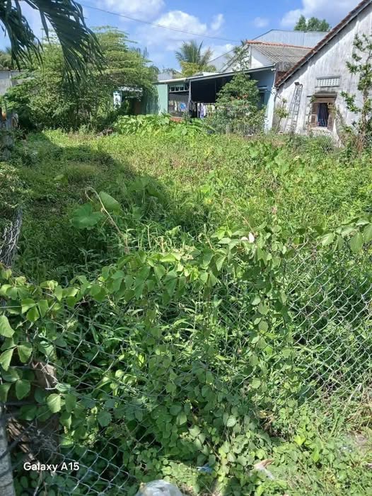 Đất mặt tiền quốc lộ 80, mở kho, kinh doanh gì cũng được, giá hời