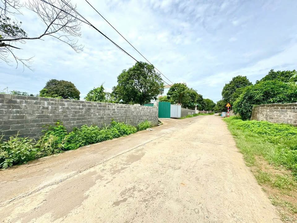 Bán đất 101-104m2 tại Hòa Sơn, Lương Sơn, Hòa Bình, đường 7m