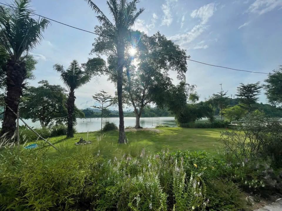 Đất view Sông Hương cực đẹp, trung tâm Huế, cơ hội vàng cho khách sạn, nhà hàng